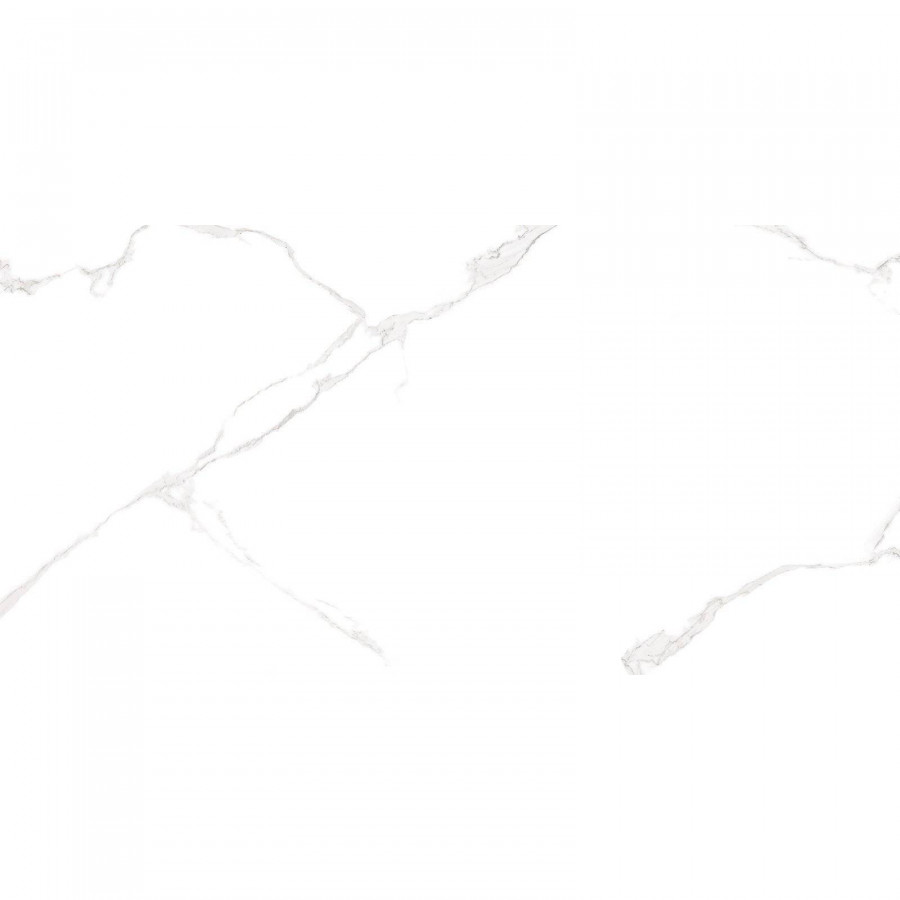 Керамическая плитка 50x25 9мм WT9ELT00 Bianco Carrara глянцевая белый AltaCera