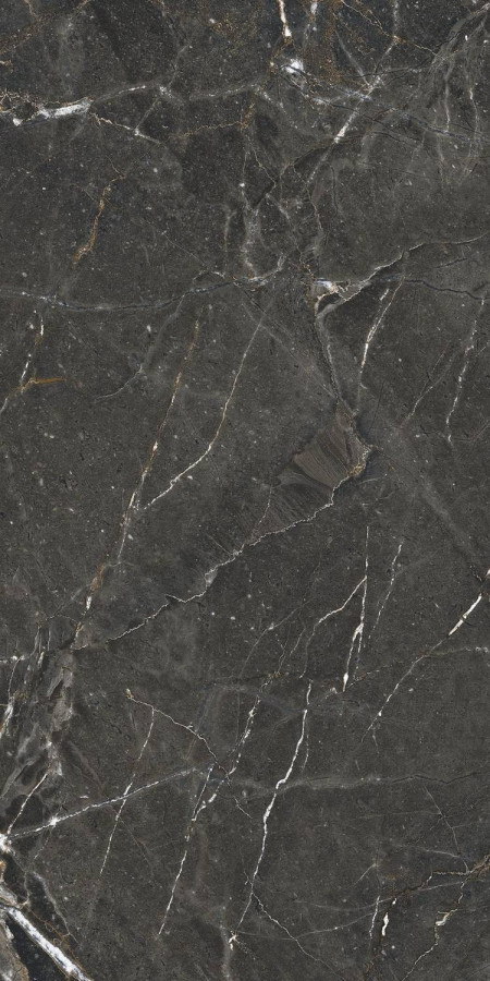 Керамогранит 120x60 8.7мм Colemanite Stone A044789 Dark Rect матовая черный Ape Ceramica