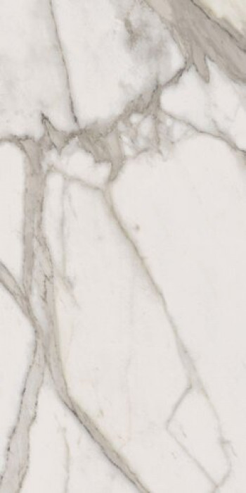 Плитка Плитка 120x60 9мм Charme Evo Calacatta Nat Rett 610010001411 матовая белый мрамор Италон Италон