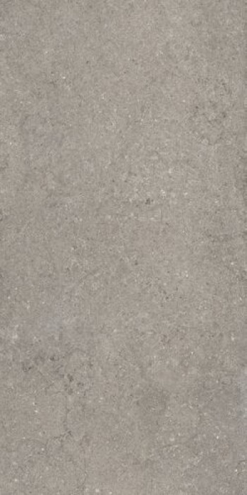 Плитка Плитка 120x60 9мм Discover Grey Ret 610010002728 матовая серый камень Италон Италон