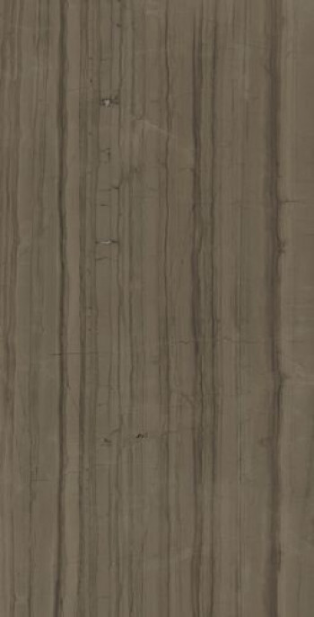 Плитка Плитка 160x80 9мм Charme Advance Elegant Brown Lux 610015000592 глянцевая коричневый Италон Италон