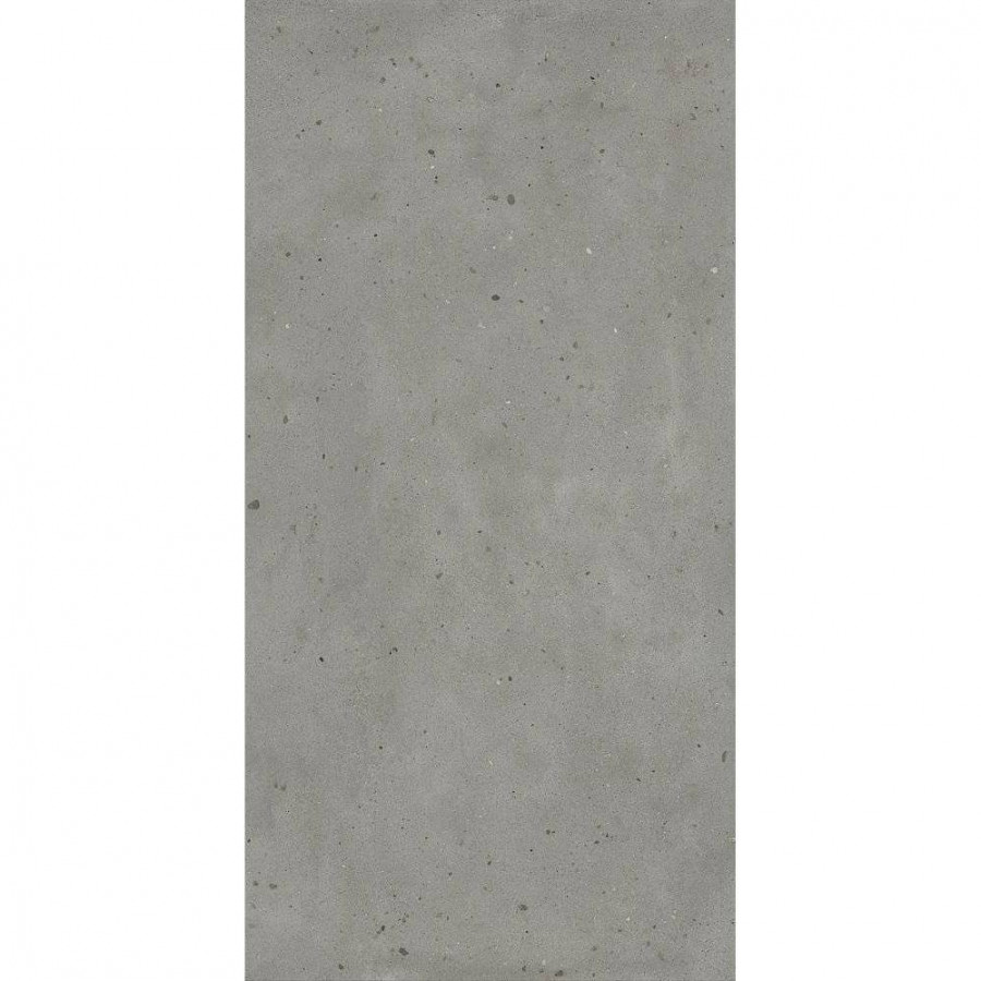 Керамогранит 160x80 9мм Авангард 610010005700 Айрон матовая серый Italon