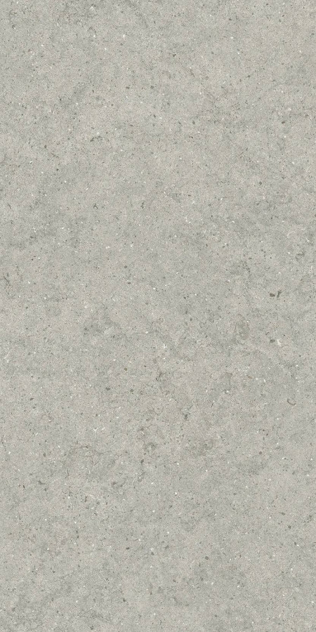 Керамогранит 120x60 9мм Форум 610010004168 Стоун Сильвер Рет матовая серый Italon