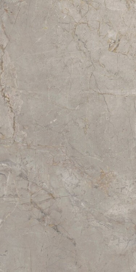 Плитка Плитка 120x60 9мм Elements Lux Silver Grey Nat 22A2 серый мрамор Keope Ceramiche Keope Ceramiche