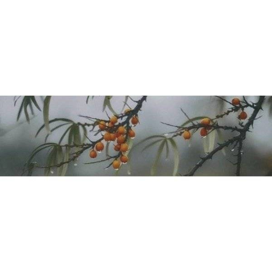 Декор 29x9 8.5мм Тракай OS\A119\9016 7 Глянцевый глянцевая зеленый Kerama Marazzi