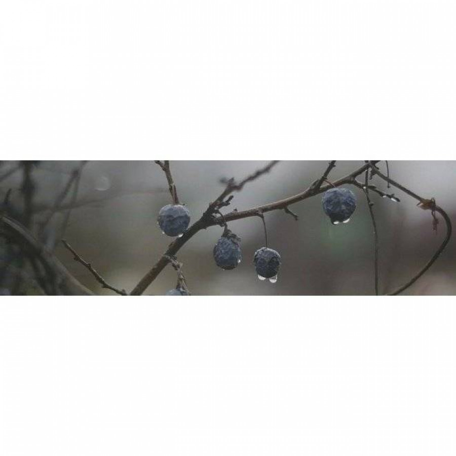 Декор 29x9 8.5мм Тракай OS\A120\9016 8 Глянцевый глянцевая синий Kerama Marazzi