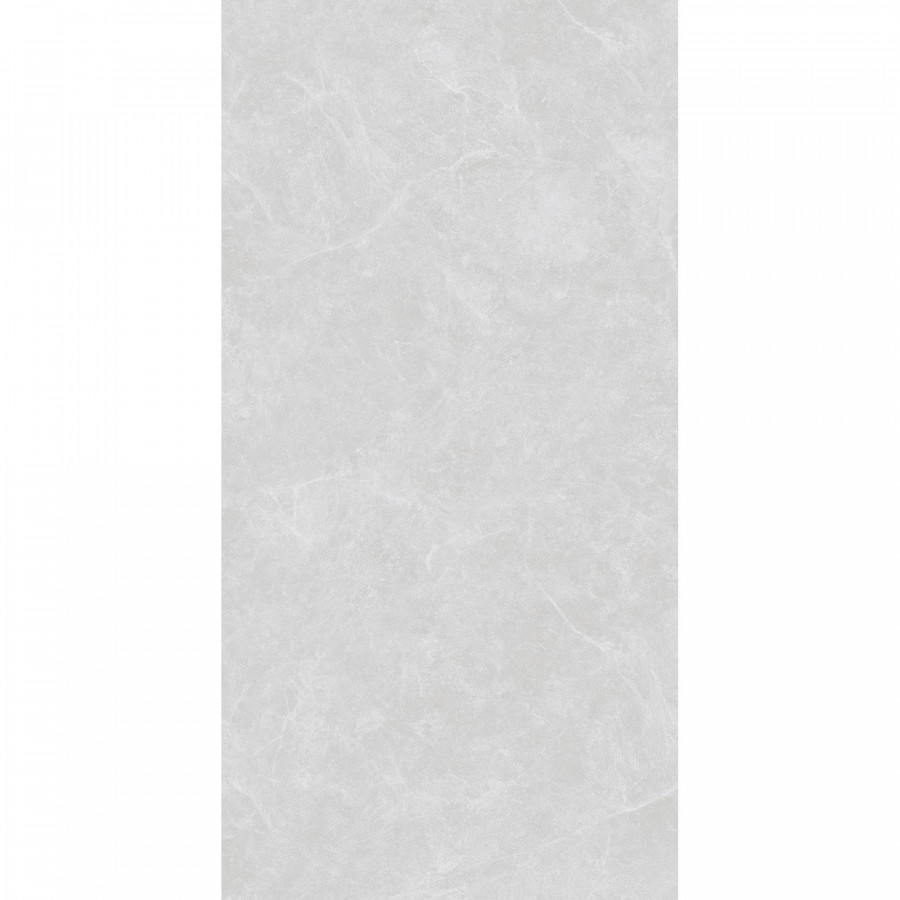 Керамогранит 120x60 8мм Oviedo SL1003-A Silver Solido матовая серый Arcadia Ceramica