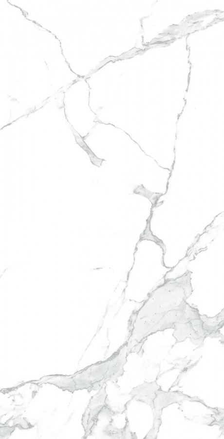 Керамогранит 120x60 9мм Paradise Statuario CR4003-A Carving матовая белый Arcadia Ceramica