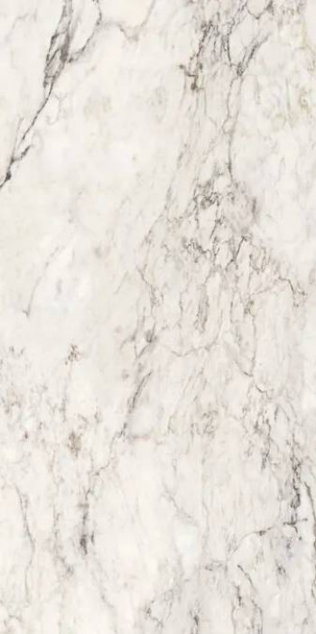 Керамогранит 120x60 8.8мм Marmi Siciliani 274101 Breccia Capraia Nat Ret матовая белый La Fabbrica Ceramiche