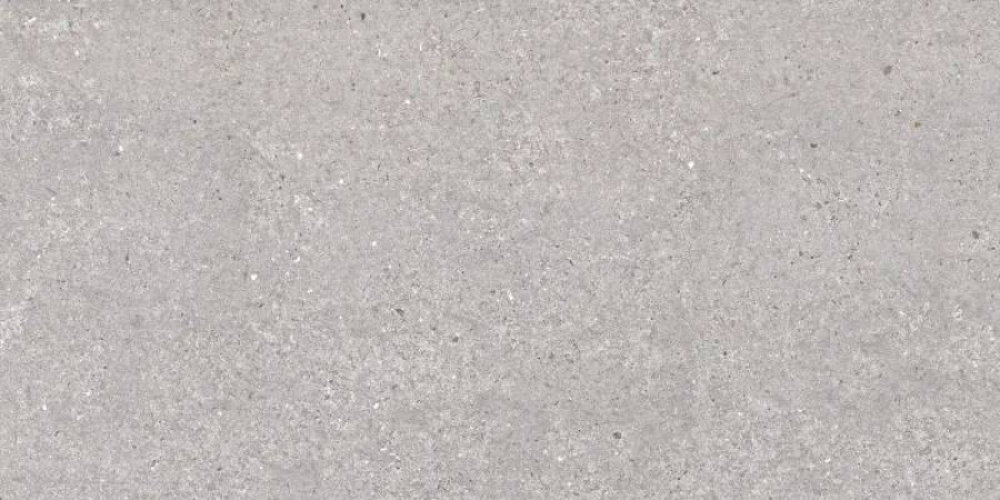 Керамогранит 120x60 9мм San Vicente 8435592044019 Natural Matt матовая серый Argenta