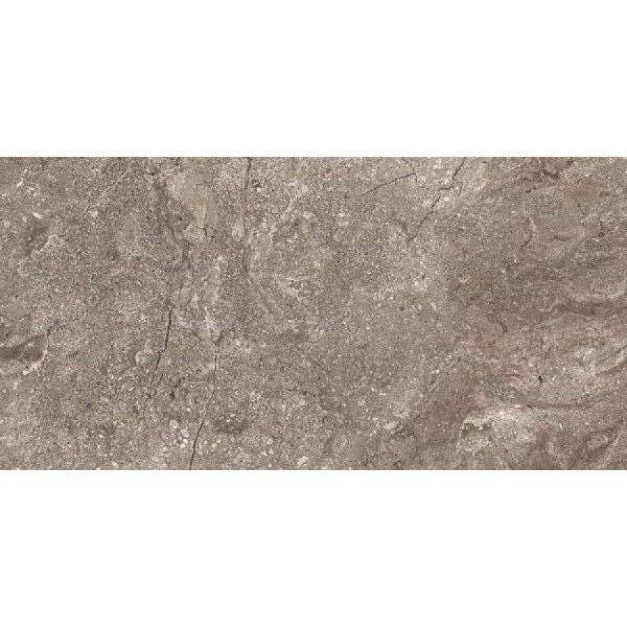 Керамогранит 120x60 10.3мм 6405 Stone Grey Polished полированная коричневый Leopard