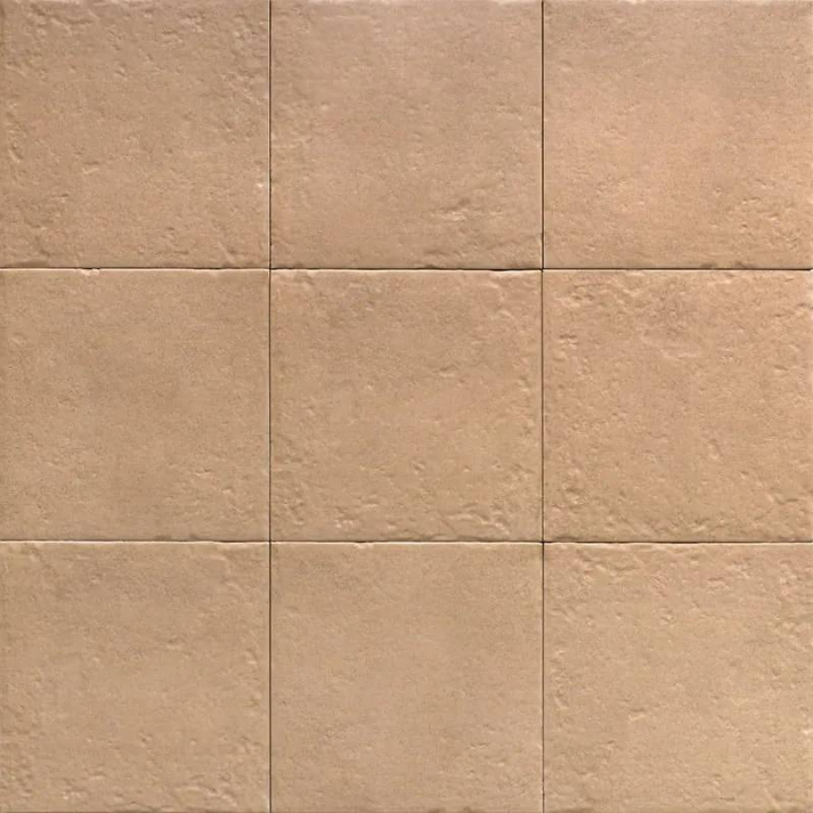 Керамогранит 20x20 8.3мм Four Seasons PT03858 Canem Season матовая коричневый Mainzu