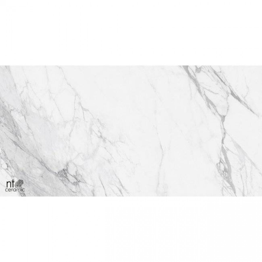 Керамогранит 120x60 9мм Marmo NTT99528P Artic Statuario Glossy глянцевая белый NT Ceramic