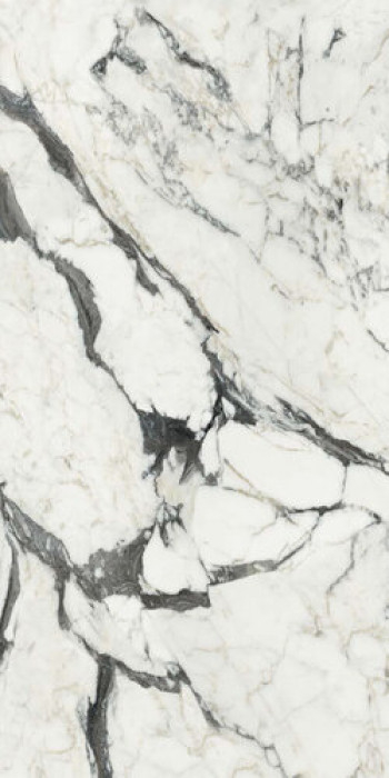 Плитка Плитка 280x120 6мм Bijoux Calacatta Altissimo Blanc Glossy R 765697 глянцевая белый мрамор Rex Ceramiche Rex Ceramiche
