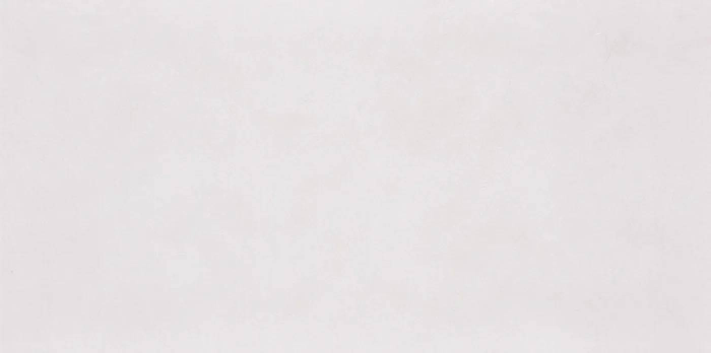 Керамогранит 120x60 9мм Stone Art 26072008 Slate White Relief матовая белый Seranit