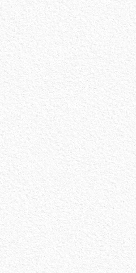 Слэб керамический 320x160 12мм Slab Matt White Texture матовая белый Staro