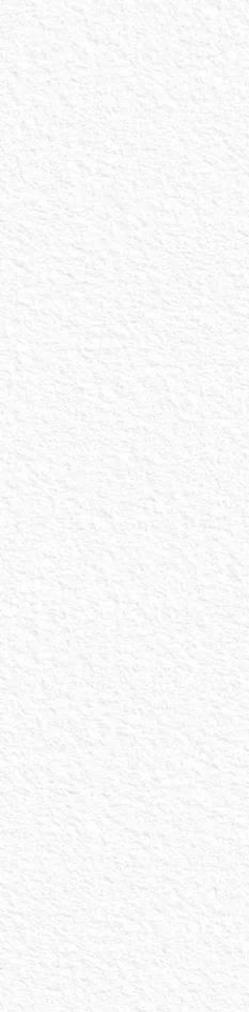 Слэб керамический 320x80 12мм Slab Matt White Texture матовая белый Staro