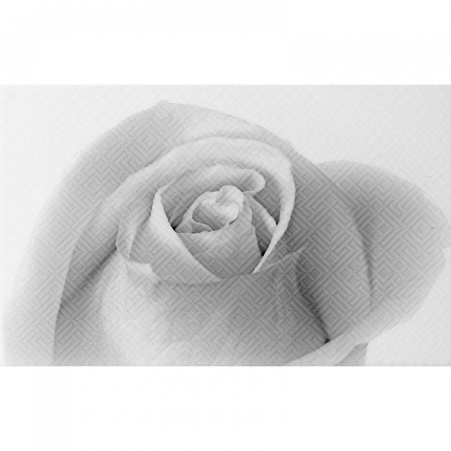 Декор 40x25 9мм Камелия 10301001884 Черн 01 глянцевая белый Шахтинская плитка