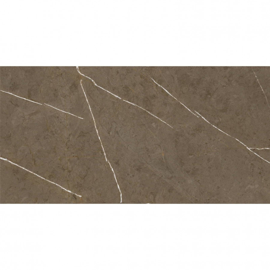 Керамогранит 120x60 10мм Stone Brown BHM-5009 3D Ink-Soft Glaze матовая коричневый Basconi Home