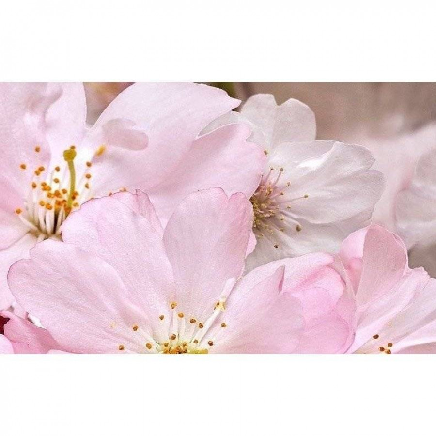 Декор 40x25 9мм Букет 09-01-41-663 глянцевая розовый Belleza