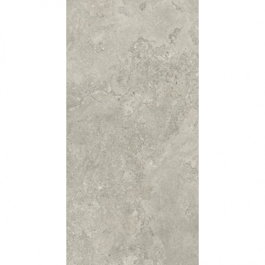 Керамогранит 120x60 9мм Portraits AG35 Newport Matt Rt матовая серый Caesar