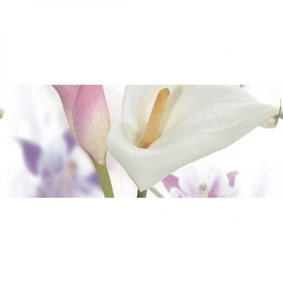 Панно 50x20 9мм Sano КПН17SanoC Dec Panno C глянцевая двухцветный Ceradim