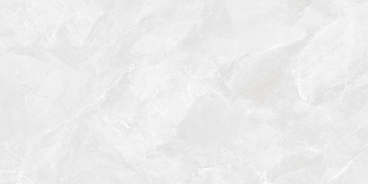 Керамогранит 119x60 9мм Regnum CR6012G0401R Bianco светло-серый матовый матовая серый Ceradim