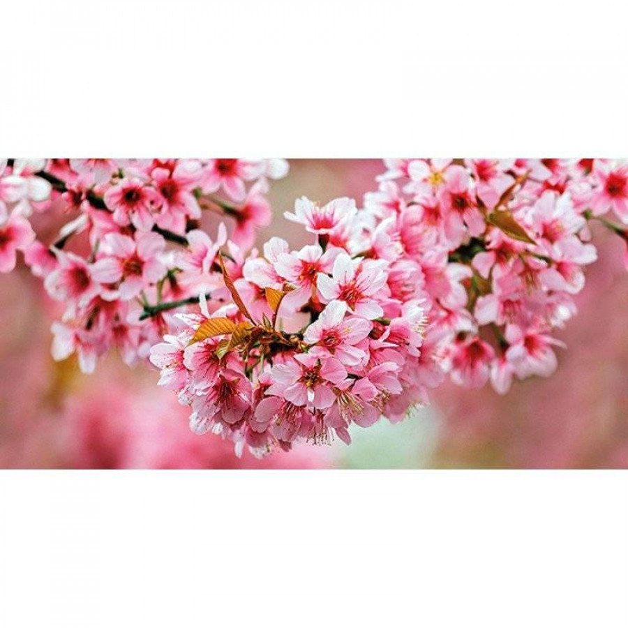 Декор 60x30 8мм Okka UG2L072D Sakura глянцевая розовый Cersanit