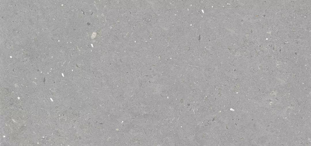 Керамогранит 120x60 8.5мм Fossil MPL-061843 Stx Grey матовая серый Creto